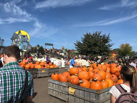Linvilla Orchards